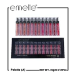 Emelie lip gloss palette A packaging set of 12 tubes